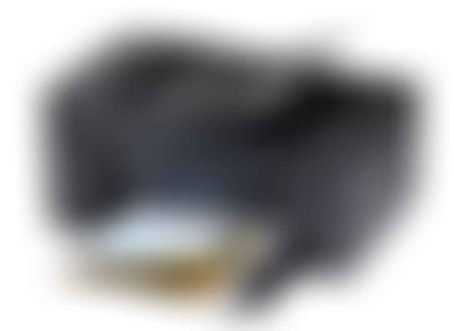Canon PIXMA TR4520